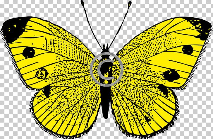 Butterfly PNG, Clipart, Arthropod, Black And White, Brush Footed Butterfly, Butterfly, Computer Icons Free PNG Download