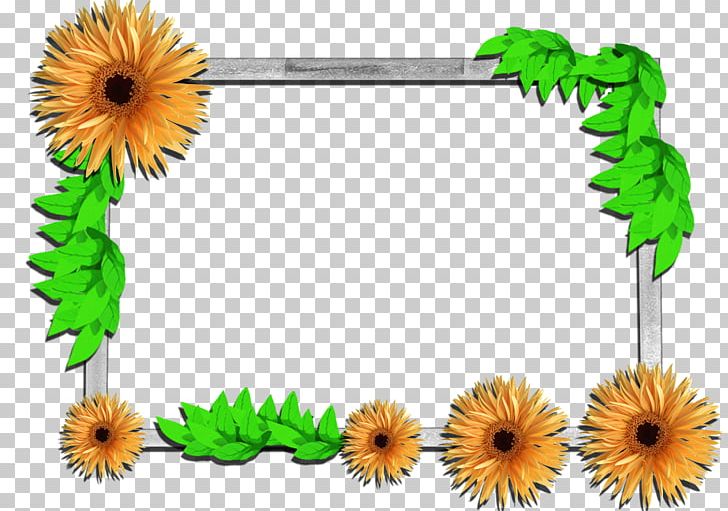 Frames Window Flower PNG, Clipart, Art, Cut Flowers, Daisy Family, Decorative Arts, Ecard Free PNG Download