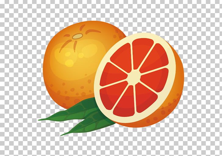 Orange Icon PNG, Clipart, Auglis, Cartoon, Citrus, Computer Wallpaper, Food Free PNG Download