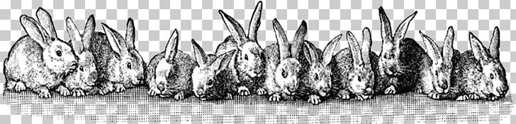 Easter Bunny Easter Postcard PNG, Clipart, Black And White, Christianity, Christmas, Easter, Easter Basket Free PNG Download