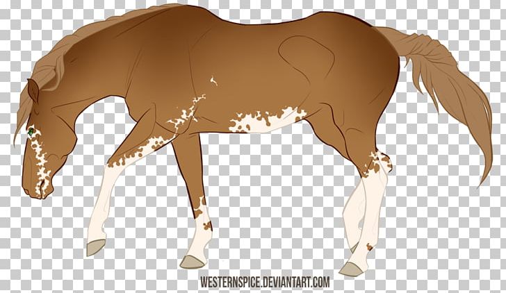 Mustang Foal Stallion Rein Colt PNG, Clipart,  Free PNG Download