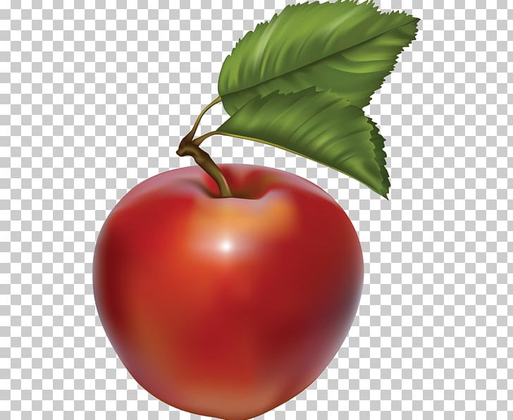 Portable Network Graphics Macintosh Apple PNG, Clipart, Acerola, Acerola Family, Apple, Apple Clipart, Apple Color Emoji Free PNG Download