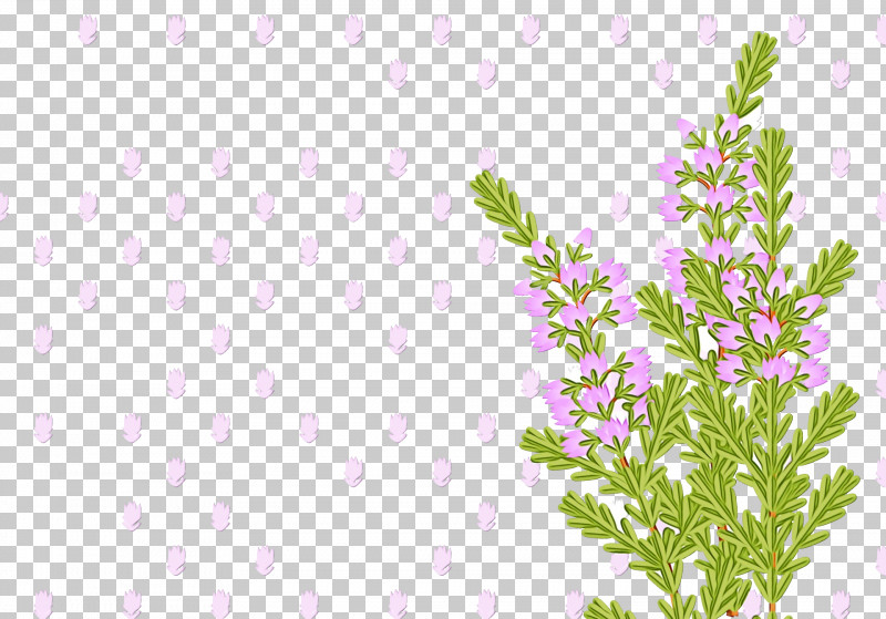Floral Design PNG, Clipart, Branch, Floral Design, Lavender, Leaf, Line Free PNG Download