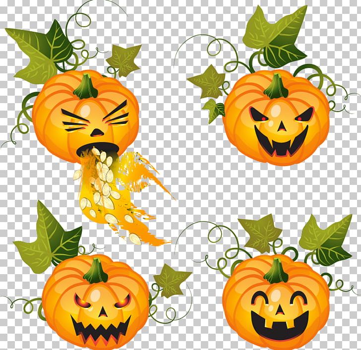 Pumpkin Halloween Jack-o'-lantern PNG, Clipart, Clip Art, Cucurbita, Cucurbita Maxima, Flower, Font Free PNG Download