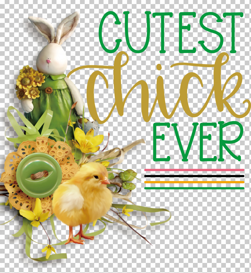 Happy Easter Cutest Chick Ever PNG, Clipart, Biology, Cut Flowers, Easter Bunny, Floral Design, Flower Free PNG Download