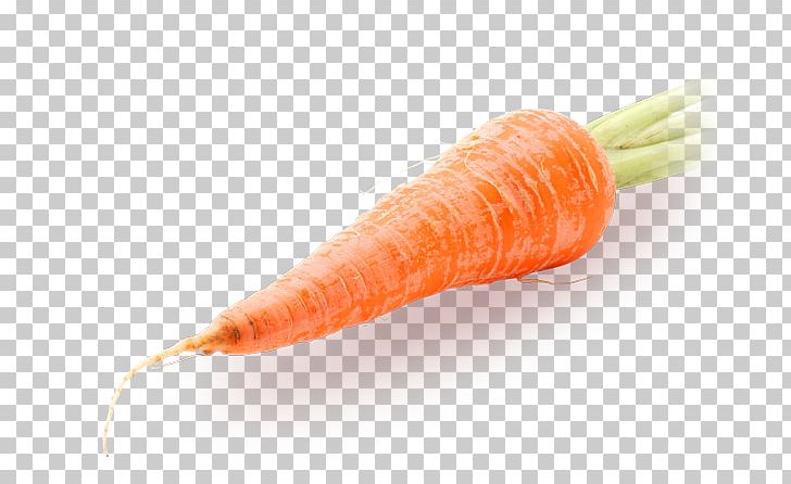 Baby Carrot Vegetable Daikon Greater Burdock PNG, Clipart, Baby Carrot, Blood Pressure, Carrot, Consume, Daikon Free PNG Download