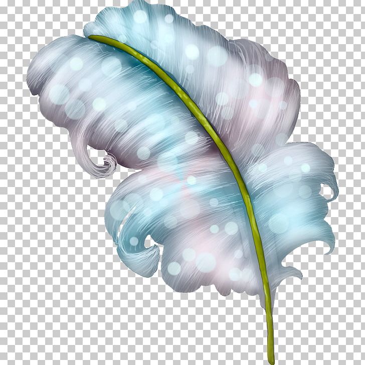 Encapsulated PostScript PNG, Clipart, Animals, Encapsulated Postscript, Feather, Float, Flower Free PNG Download