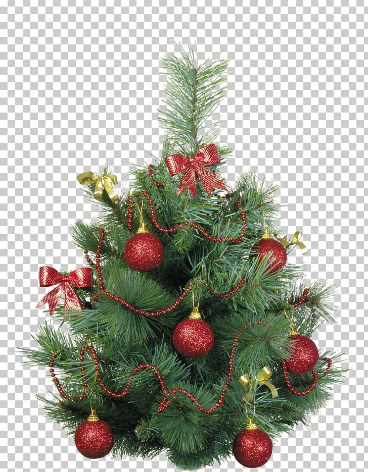 New Year Tree Yolki PNG, Clipart, Christmas, Christmas Decoration, Christmas Ornament, Christmas Tree, Conifer Free PNG Download