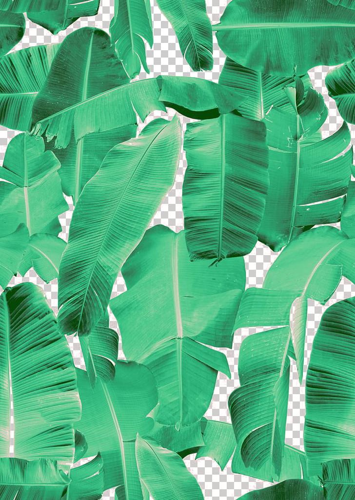 Banana Leaf Frame Interior Design Services Flower PNG, Clipart, Banana, Banana Leaves, Clothing, Clothing Printed Pattern, Drawing Free PNG Download