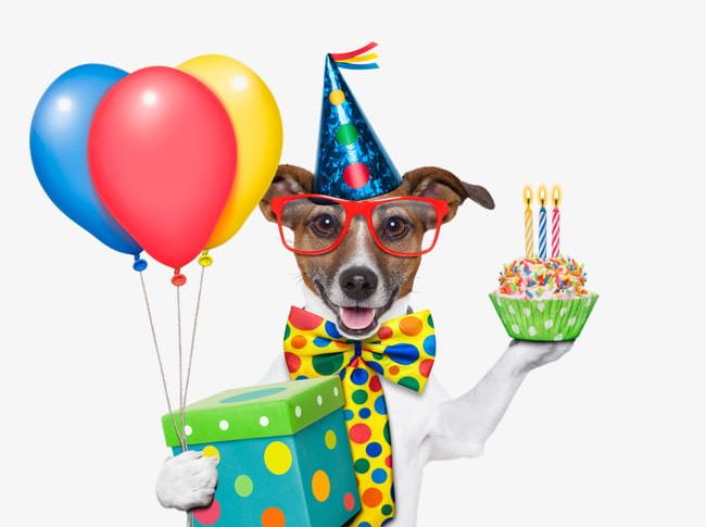 Birthday Dog PNG, Clipart, Animal, Animal Material, Balloon, Birthday Clipart, Birthday Clipart Free PNG Download