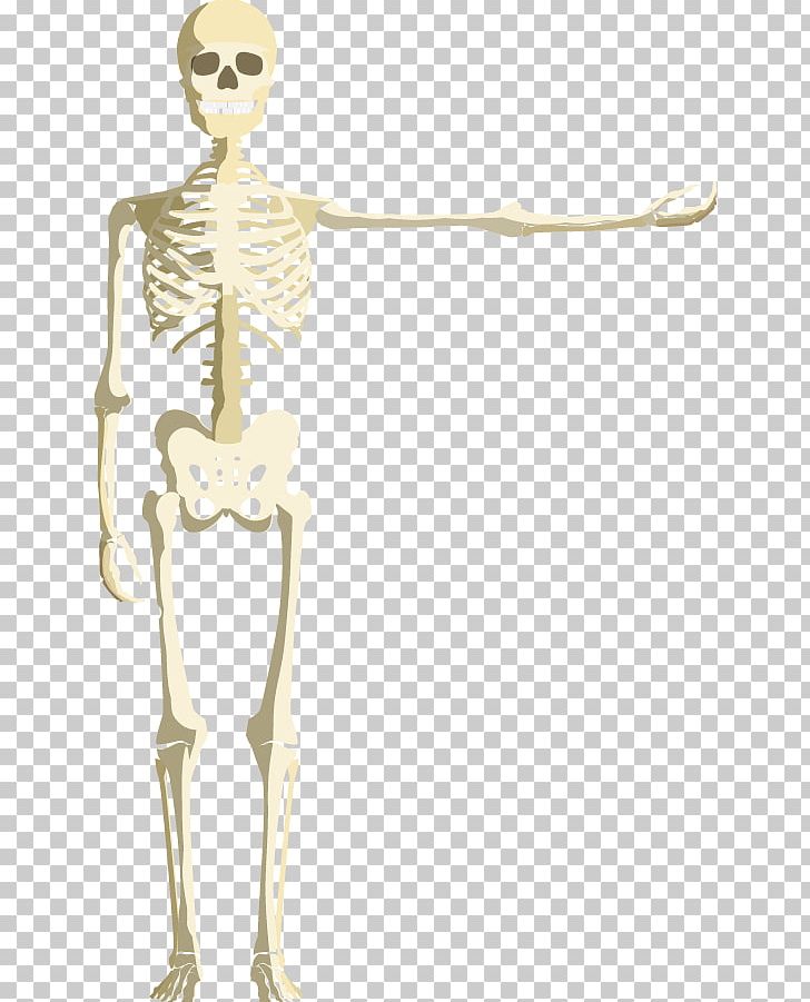 Skull Calavera Skeleton PNG, Clipart, Bone, Calavera, Cartoon, Download, Face Free PNG Download