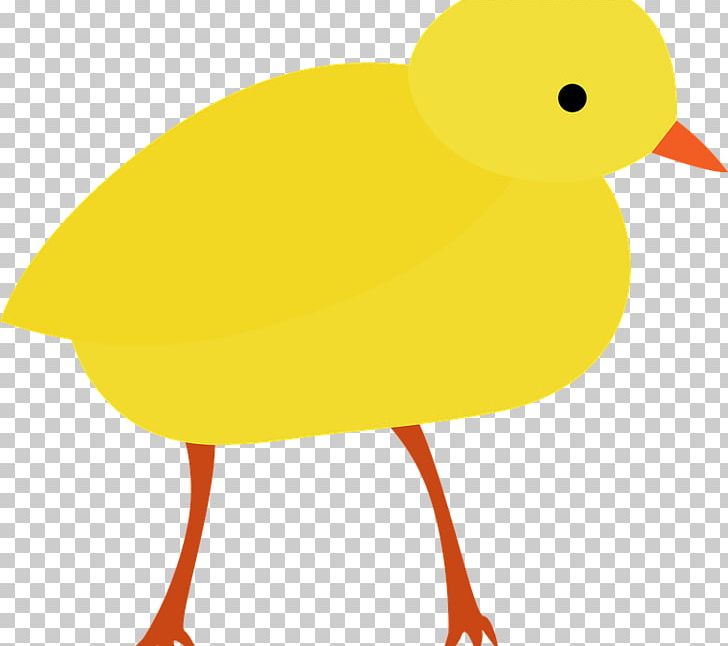Duck Beak Animated Cartoon PNG, Clipart, Animals, Animated Cartoon, Artwork, Beak, Bird Free PNG Download