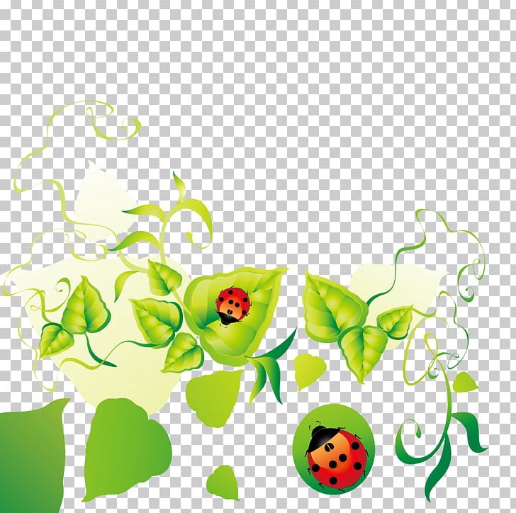 Floral Design Leaf PNG, Clipart, Border, Border Frame, Borders Vector, Branch, Certificate Border Free PNG Download