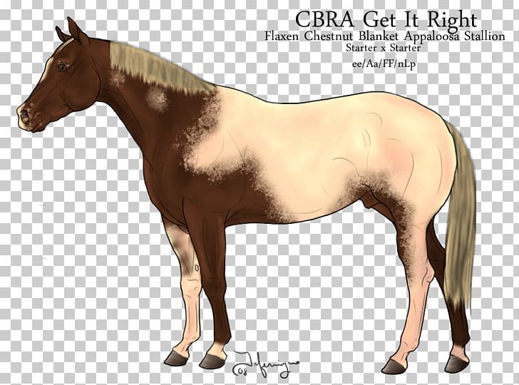 Foal Mare Halter Stallion Mustang PNG, Clipart, Bri, Colt, Dog Harness, Foal, Halter Free PNG Download