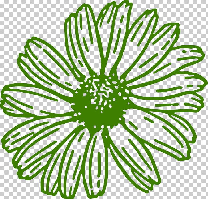Transvaal Daisy Free Content PNG, Clipart, Black And White, Blog, Blue, Chrysanths, Circle Free PNG Download