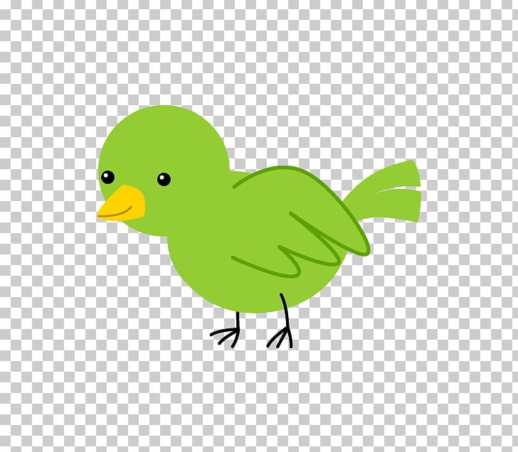 Water Bird Chicken Cygnini PNG, Clipart, Animals, Beak, Bird, Blue Bird, Cartoon Free PNG Download