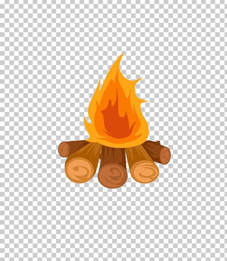 Bonfire PNG, Clipart, Bonfire Free PNG Download