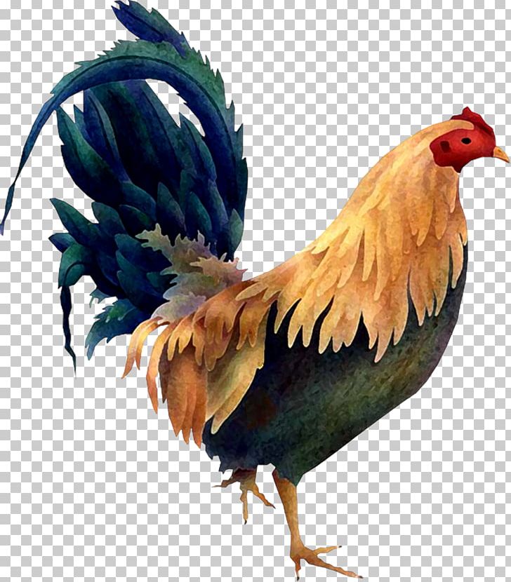 Chicken Rooster Bird Poultry PNG, Clipart, Animals, Beak, Bird, Chicken, Clip Art Free PNG Download