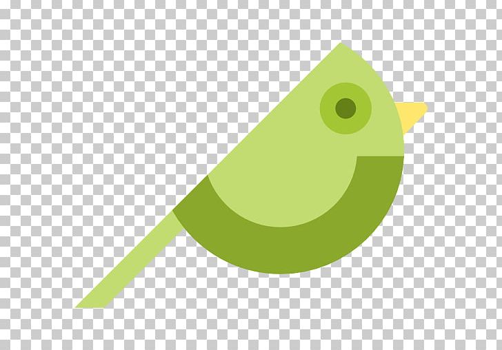 Computer Icons Cat PNG, Clipart, Angle, Animal, Animals, Beak, Bird Free PNG Download