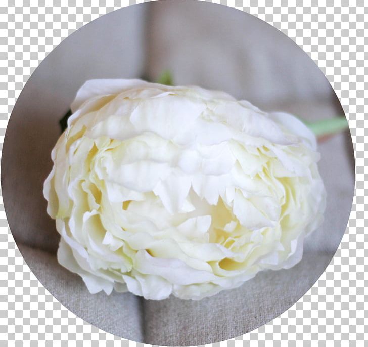 Cut Flowers Petal Floristry Flower Bouquet PNG, Clipart, Com, Cream, Cut Flowers, Dishware, Email Free PNG Download