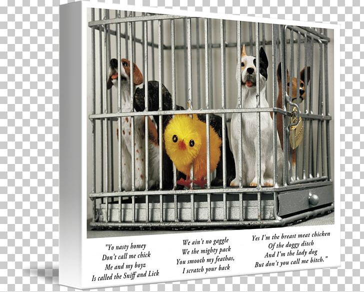Dog Crate Animal Shelter Kennel Cage PNG, Clipart, 4k Resolution, Animals, Animal Shelter, Cage, Crate Free PNG Download