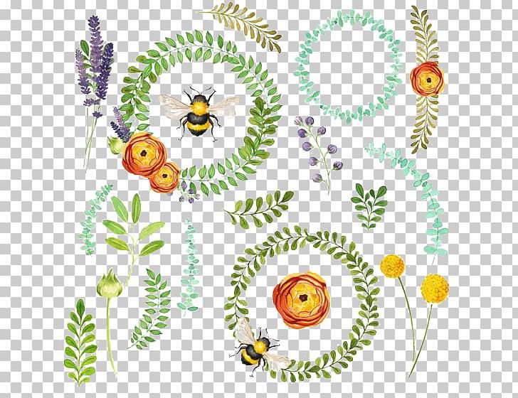 Floral Design Insect Pollinator Leaf Pattern PNG, Clipart, Art, Artwork, Branch, Cartoon, Flora Free PNG Download