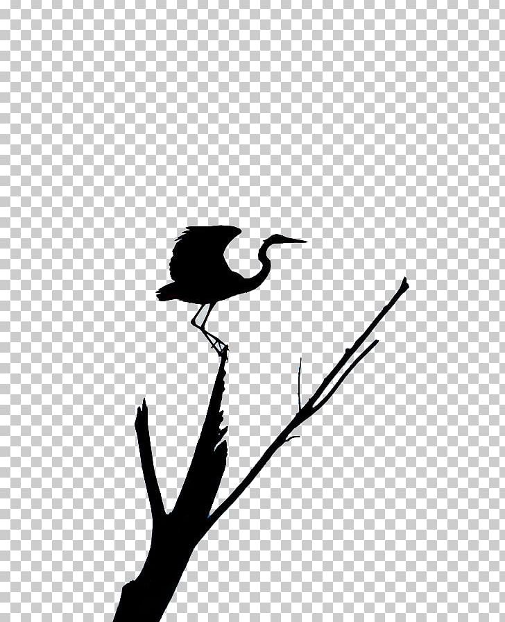 Supermoon Heron Full Moon Moonlight PNG, Clipart, 500px, Animal, Beak, Bird, Black And White Free PNG Download