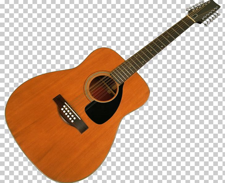 Twelve-string Guitar Chordophone Musical Instruments String Instruments PNG, Clipart, Cuatro, Guitar Accessory, Musician, Sound, Steelstring Acoustic Guitar Free PNG Download