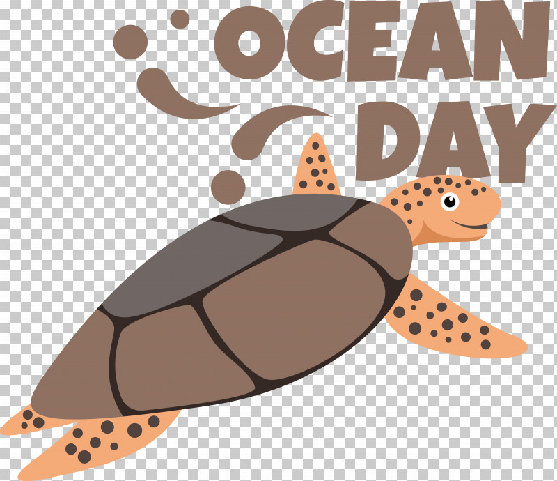 Tortoise Sea Turtles Turtles Cartoon Sea PNG, Clipart, Biology, Cartoon, Science, Sea, Sea Turtles Free PNG Download