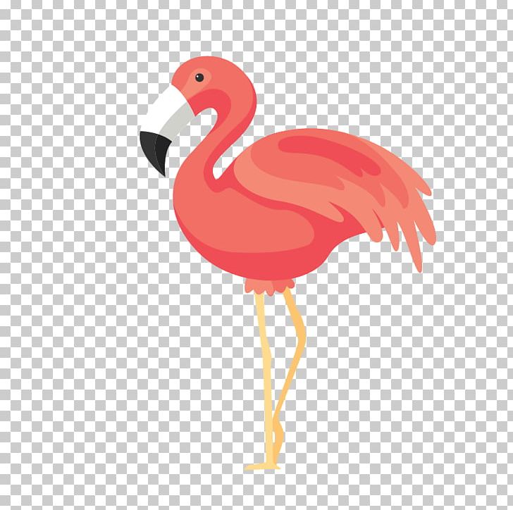 Bird Flamingos Euclidean PNG, Clipart, Adobe Illustrator, Animals, Beak, Bird, Chicken Free PNG Download