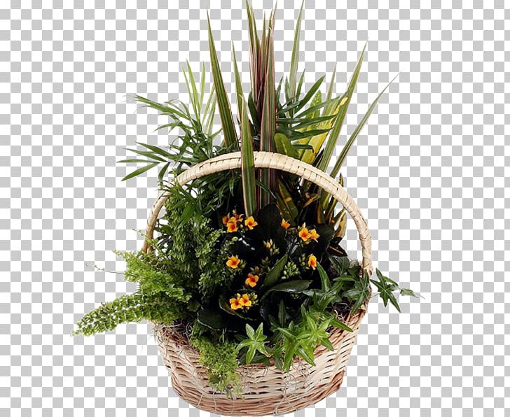 Floral Design Plants Cut Flowers Flowerpot PNG, Clipart, Basket, Basketball, Cut Flowers, Evergreen, Evergreen Marine Corp Free PNG Download