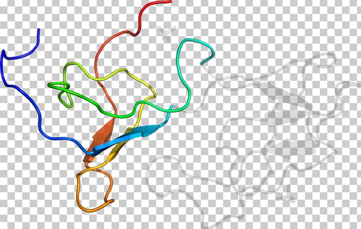 Line Point Organism PNG, Clipart, Area, Art, Context, D 1, Line Free PNG Download