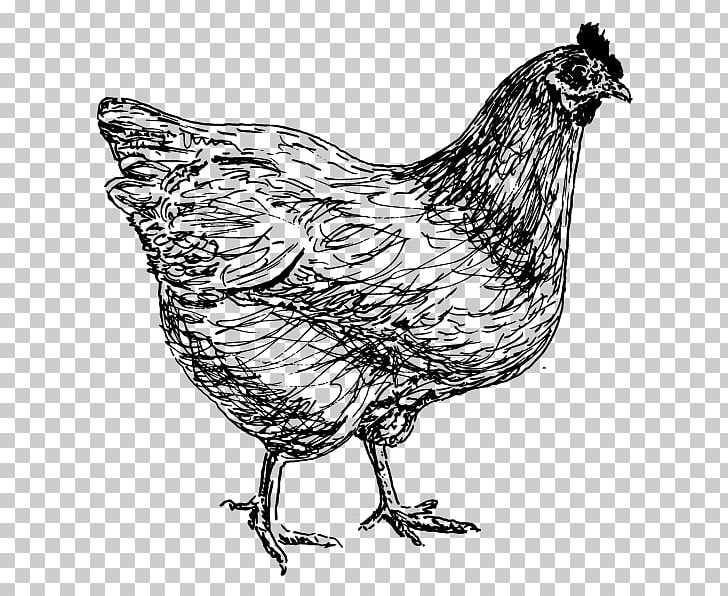 Rooster Chicken Duck Hen Postage Stamps PNG, Clipart, Animal, Animals, Art, Beak, Bird Free PNG Download