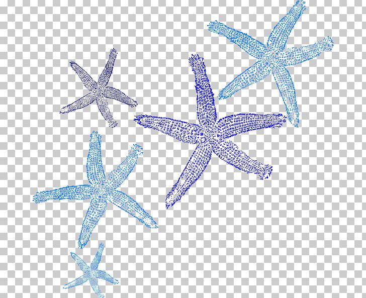 Starfish PNG, Clipart, Animals, Book, Computer Icons, Copyright, Download Free PNG Download