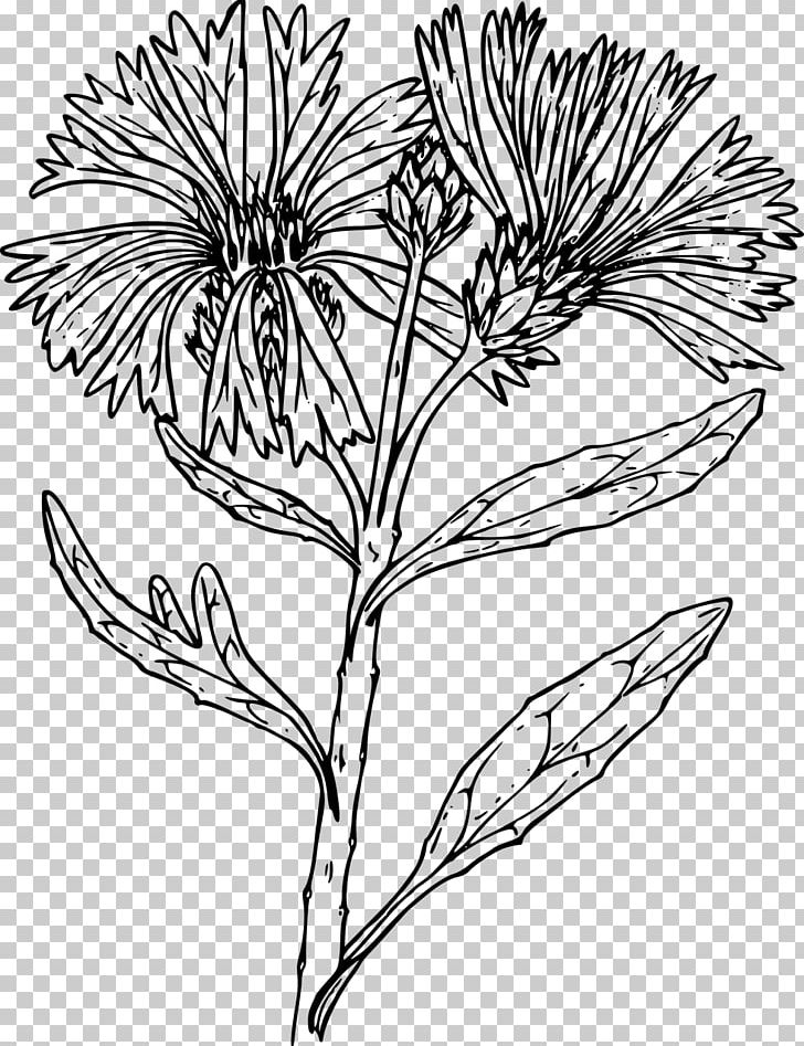 Black And White Twig Floral Design Wildflower Drawing PNG, Clipart, Artwork, Black And White, Branch, Cut Flowers, Drawing Free PNG Download