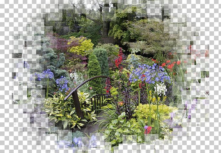 Flower Garden Plans Garden Design PNG, Clipart, Backyard, Flora, Floral Design, Flower, Flower Arranging Free PNG Download