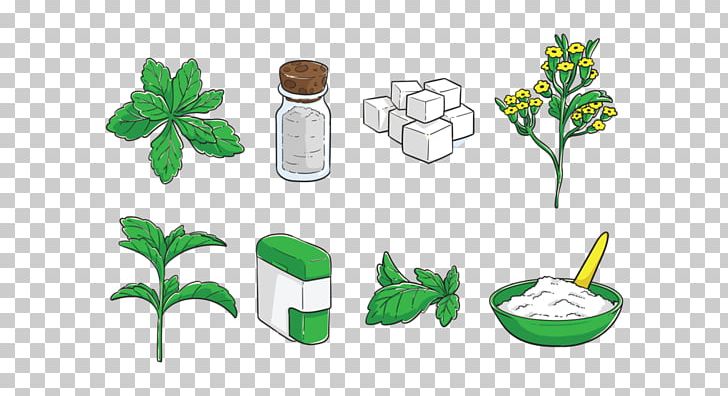 Stevia Drawing PNG, Clipart, Clip Art, Computer Icons, Draw, Drawing, Flower Free PNG Download