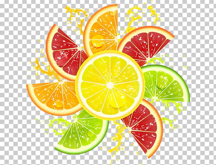 Grapefruit Lemon Orange PNG, Clipart, Citric Acid, Citrus, Diet Food, Food, Fresh Vector Free PNG Download