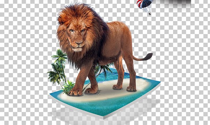 Lion PNG, Clipart, Adobe Illustrator, Advertising, Animal, Animals, Big Cats Free PNG Download