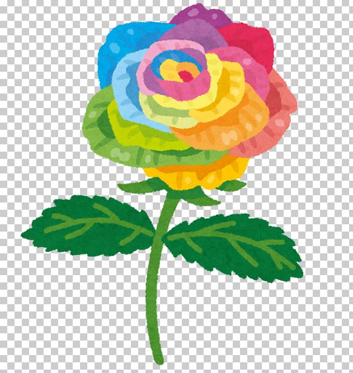 Rainbow Rose Color Rainbow Rose Flower PNG, Clipart, Blue, Blue Rose, Color, Cut Flowers, Flower Free PNG Download