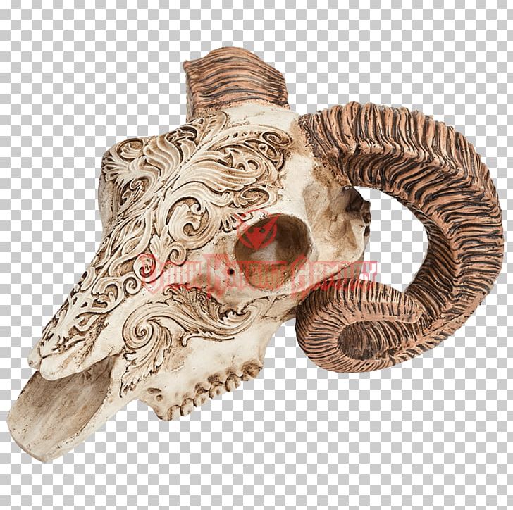 Scrimshaw Human Skull Horn Bone PNG, Clipart, Alchemy, Antler, Bone, Engraving, Fantasy Free PNG Download