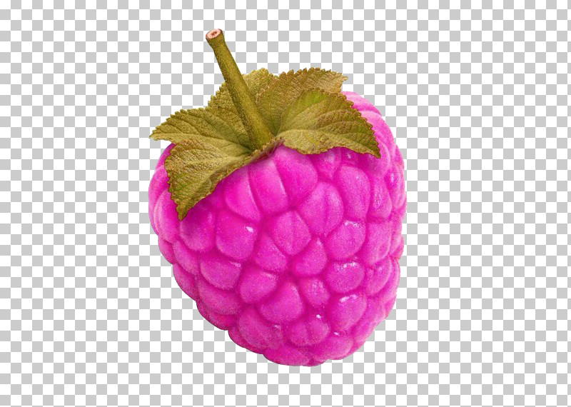 Pineapple PNG, Clipart, Accessory Fruit, Berry, Blackberry, Food, Fruit Free PNG Download