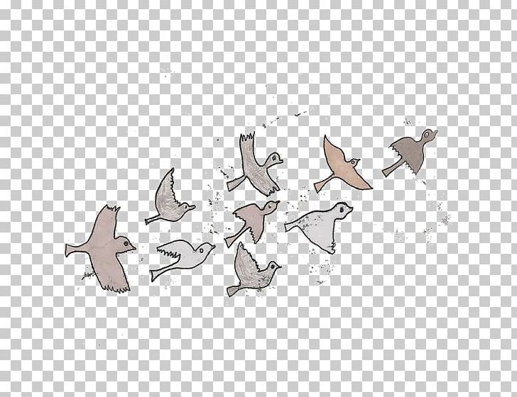 Bird Migration Watercolor Painting Water Bird PNG, Clipart, Angle, Animals, Bird, Bird Cage, Bird Migration Free PNG Download