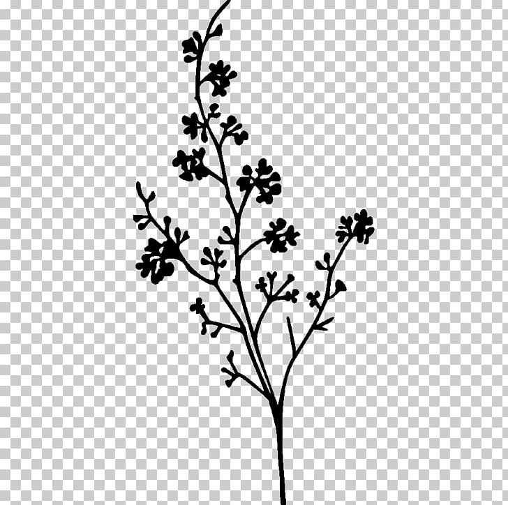 Sticker Branch Plant Stem Leaf PNG, Clipart, Arabesque, Black, Black And White, Branch, Flora Free PNG Download