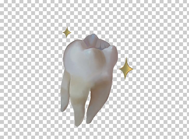 Tooth PNG, Clipart, Jaw, Organ, Tooth, Wisdom Tooth Free PNG Download