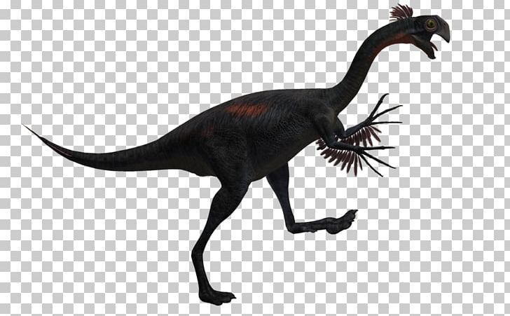 Velociraptor Tyrannosaurus Spinosaurus Combat Of Giants: Dinosaurs 3D Baryonyx PNG, Clipart, 3d Computer Graphics, Animal Figure, Baryonyx, Carnivore, Combat Of Giants Dinosaurs 3d Free PNG Download