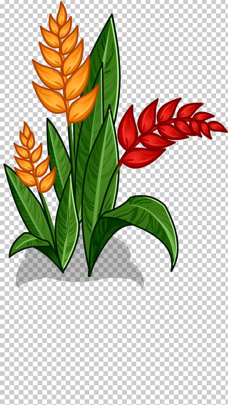 Cut Flowers Amazon Rainforest PNG, Clipart, Amazon Rainforest, Artwork, Clip Art, Cut Flowers, Flora Free PNG Download