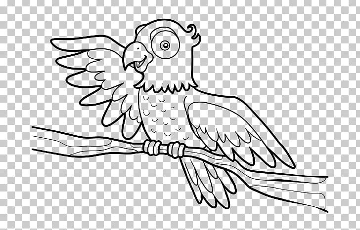True Parrot Bird Coloring Book Drawing PNG, Clipart, Animal, Animals, Area, Art, Artwork Free PNG Download