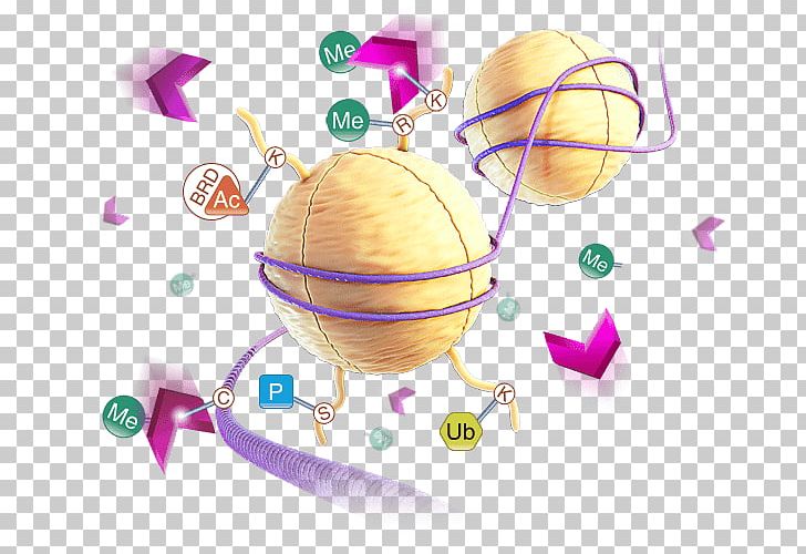 Demethylase Luciferase Chemical Reaction Assay Succinic Acid PNG, Clipart, Alphaketoglutaric Acid, Assay, Chemical Reaction, Computer Wallpaper, Demethylase Free PNG Download
