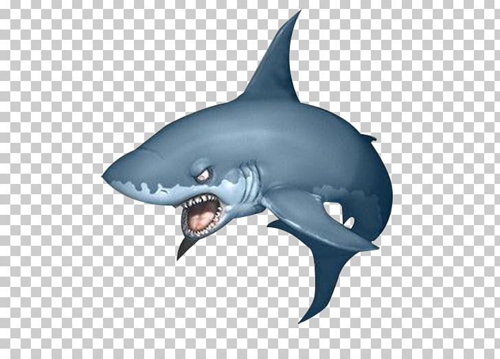 Shark Rendering Software PNG, Clipart, 3d Arrows, 3d Computer Graphics, Animals, Black White, Cartoon Free PNG Download